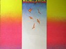 Mahavishnu Orchestra Birds Of Fire = ??? NEAR MINT CBS/Sony Vinyl LP