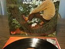 Shrink lee Dorsey yes we can soul funk polydor  Lp Record vinyl jazz