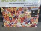 Splendor In the Grass [LP] by Pink Martini (Vinyl, Jan-2010, 2 Discs, Heinz...