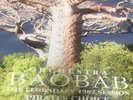 ORCHESTRA BAOBAB Pirates Choice - The Legendary 1982 Session LP AFRO CUBAN Vinyl