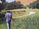 NEIL YOUNG - OLD WAYS - SEALED