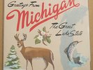 SUFJAN STEVENS - Michigan ***US-Vinyl-2LP***NEW***older press***