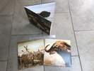 INTERPOL 2007 CAPITOL RECORDS ORIG OUR LOVE TO ADMIRE DOUBLE GATEFOLD VINYL MINT
