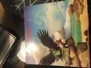 Budgie ?– Never Turn Your Back On A Friend VINYL 1973 First Rare