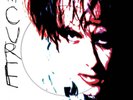 The Cure Bloodflowers 20th Anniversary Picture Disc Pic Vinyl New Pre Order 8/29