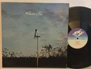 Cluster & Brian Eno EX SKY 010 ORIG GERMAN ambient psych prog Kraut electronic