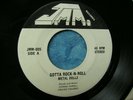 PRIVATE HAIR METAL hard rock METAL DOLLZ  GOTTA ROCK N ROLL/SHES GOT THE BITE 45