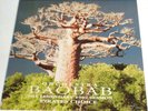 ORCHESTRA BAOBAB Pirates Choice - The Legendary 1982 Session LP AFRO CUBAN