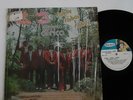Rare Latin Salsa Guaguanco LP Conjunto Africa Sabor de Fiesta on Peerless LP