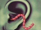 THEE OH SEES-ODD ENTRANCES (US IMPORT) VINYL LP NEW