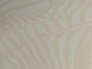Beach House ?– Teen Dream 2 × Vinyl, LP, Album, Reissue, Clear