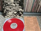 POISON IDEA Record Collectors RED MINOR THREAT BLACK FLAG NECROS NEGATIVE...
