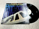 VINYL ALBUM RECORD,KING TEE- AT YOUR OWN RISK,12