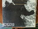 Blue Oyster Cult - 12