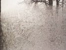 Bon Iver For Emma, Forever Ago - Vinyl (New)