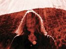 Ty Segall - MANIPULATOR - Vinyl LP - NEW & SEALED Rare Indie Rock