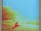 The Flaming Lips - The Terror 2013 Gatefold Grey Vinyl LP Record