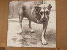Alice In Chains Promo LP Vinyl 074646724811