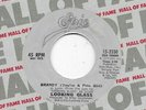 3 * LOOKING GLASS * 45 * Brandy / 1 SEGER Night Moves * MINT UNPLAYED * RI
