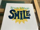 Brian Wilson - Smile (2x Vinyl Lp) Used Original Pressing