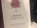 THE MAHLER PROJECT San Francisco Symphony - Michael Tilson Thomas 12 Records