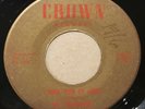 THE TREASURERS I Walk With An Angel / The Story Of Love 1961 RARE Doo Wop 45