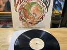 DIRTY HEADS Home Phantoms Of Summer The Acoustic Sessions VERY RARE Vinyl LP