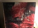 foals everything not saved will be lost vinyl Deluxe Boxset Signed