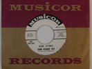 GENE PITNEY promo 45 MUSICOR Town Without Pity VG++ HEAR IT wlp