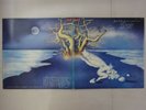 Locanda Delle Fate Forse Le Lucciole Non Si   Polydor 23MM 0148 Japan   LP