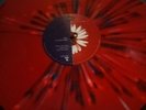 CRASH splatter color Dave Matthews Band limited edition 2LP vinyl record rare