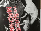 Suicide Machines - Destruction By Definition red colored Vinyl LP  vinyl record