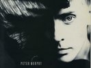 Cuts You Up Peter Murphy UK 12