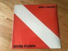 Van Halen Diver Down Original Vinyl LP BSK 3677 SEALED. Sleeve VG+
