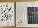 Devendra Banhart ?– Ma Vinyl LP Clear + SIGNED PRINT