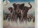 ELVIS COSTELLO: 1979 Rare ARMED FORCES Promo LP Made in Argentina ????????