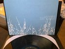 THE SHINS Oh, Inverted World ORIGINAL 2002 SUB POP PRESSING w/NEAR MINT VINYL