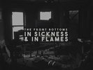The Front Bottoms ** In Sickness & In Flames *NEW RED COLORED RECORD LP VINYL