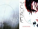 THE CURE 