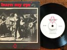 Radio Birdman - Burn My Eye 7