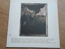 Pixies Surfer Rosa Vinyl