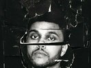 Weeknd - Beauty Behind The Madness 602547503367 (Vinyl Used)