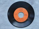 Flash & The Dynamics Family Affair/Sol De Borinquwn, Flady