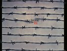 Dies Irae - First LP - Green Vinyl Album - 2015 German Import Prog Kraut Record
