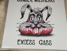 Record Store Day 2020 RSD Ginger Wildheart Excess Gass blue LP