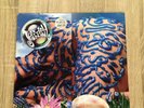 Rare  Jellyfish - Belly Button LP Promo Gatefold Record 1990 Charisma Vinyl