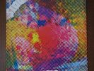The Litter $100 Fine LP Rare Garage Psych