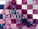 Surfer Blood Astro Coast  RSD Drop1 Vinyl 2LP 2020 Piranha Records