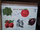 Best Of Cream Autographed LP Signed By Bruce & Baker DON'T PAY UNTIL INVOICED