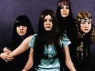 Cradle - The History RSD 2020
